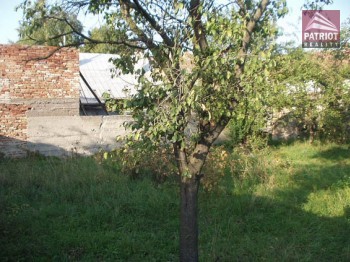 Zahrada Němčice - 2
